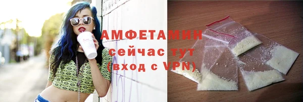 прущий лед Бородино