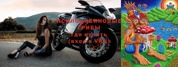 прущий лед Бородино