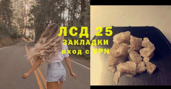 прущий лед Бородино