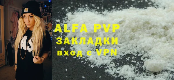 прущий лед Бородино