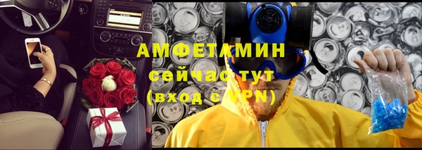 прущий лед Бородино