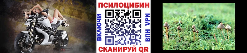 мориарти как зайти  кракен как войти  Рузаевка  Псилоцибиновые грибы MAGIC MUSHROOMS 